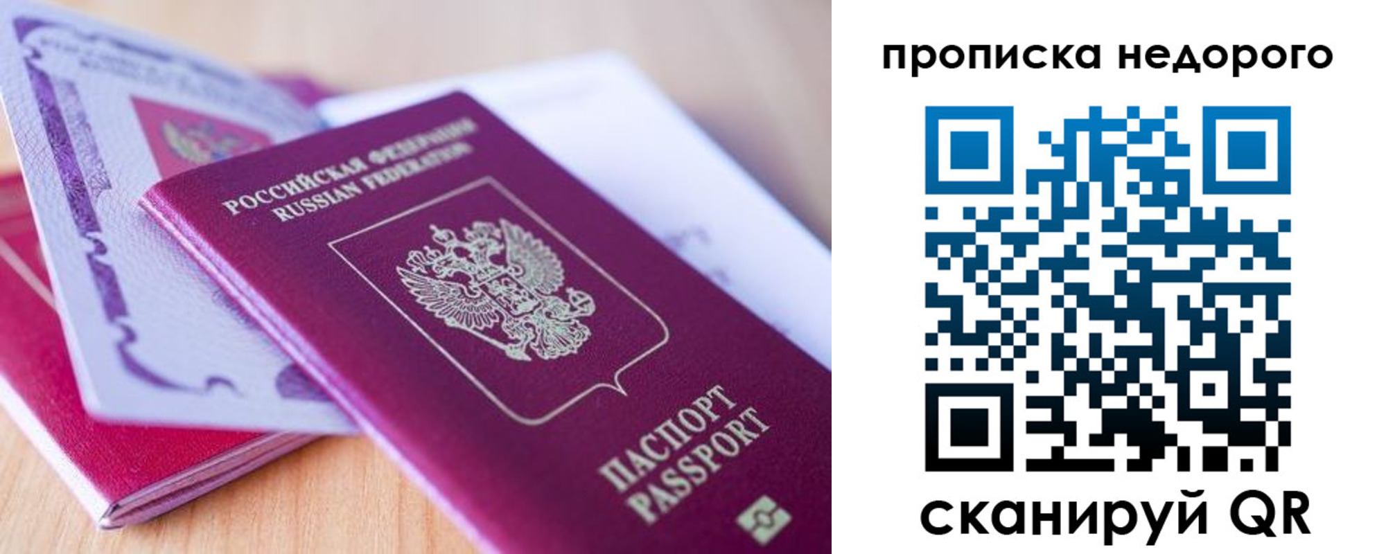 где прописаться в Дмитрове