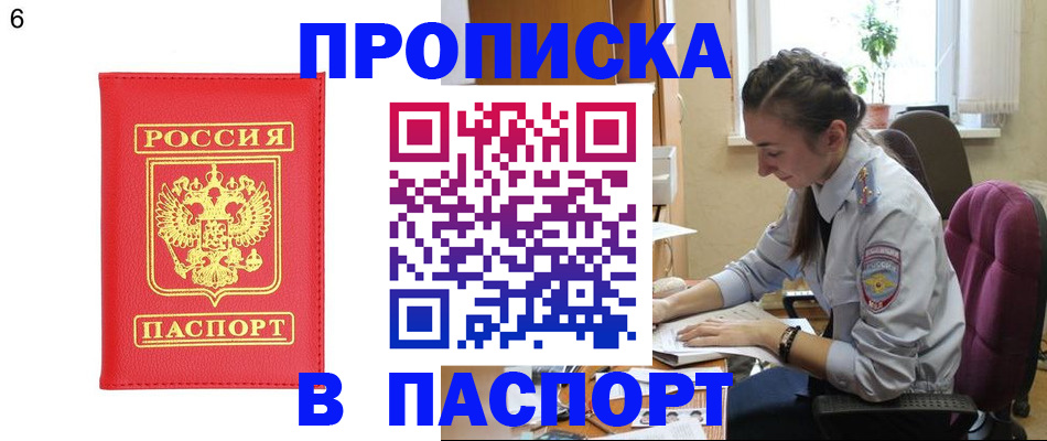 прописка гарантия в Дмитрове